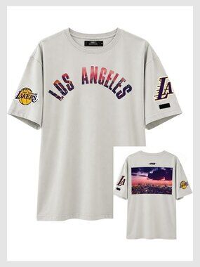 Pro Standard Los Angeles Lakers Graphic Tee Grey Embroidered XL